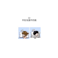 文字类2772