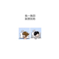 文字类2788