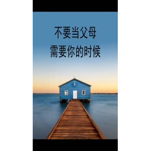 文字类2826