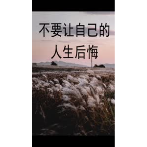 文字类2836
