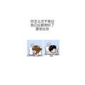 文字类2848