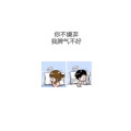 文字类2850