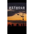 文字类2860