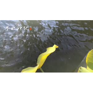 文字类2876