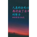 文字类3100