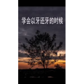 文字类3142
