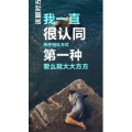 文字类3166