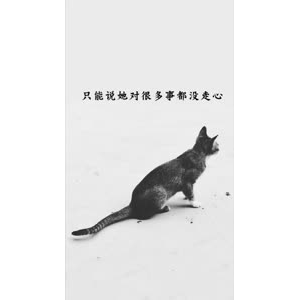 文字类3174