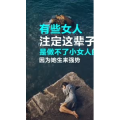 文字类3178