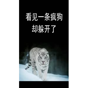 文字类3182