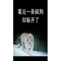 文字类3182