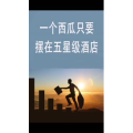 文字类3204