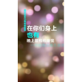 文字类3206