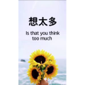 文字类3238