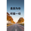 文字类3254