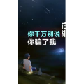 文字类3258