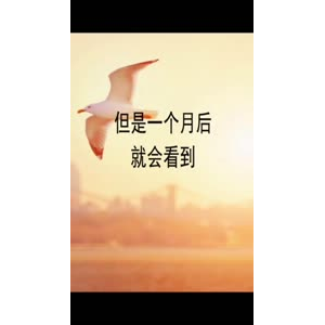文字类3284