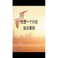 文字类3284