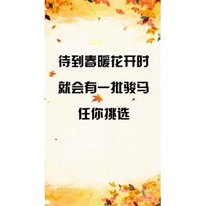 文字类3378