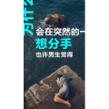 文字类3386