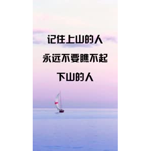文字类3388