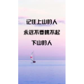 文字类3388