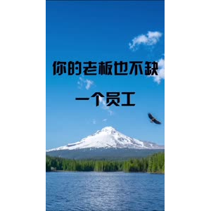文字类3398