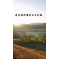 文字类3420