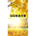 文字类3428