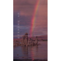 文字类3438