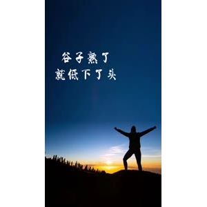 文字类3456