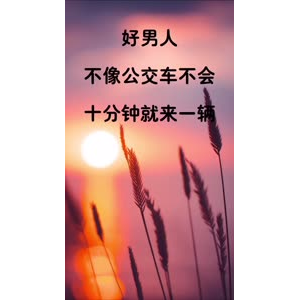 文字类3486