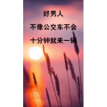 文字类3486