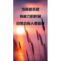 文字类3492