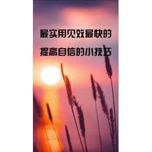 文字类3498