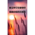 文字类3498