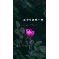 文字类3520