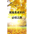 文字类3526