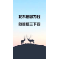 文字类3530