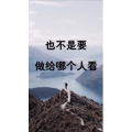 文字类3556