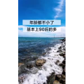 文字类3568