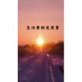 文字类3572
