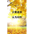 文字类3574