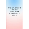 文字类3598