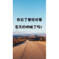 文字类3604