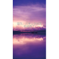 文字类3650