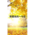 文字类3672