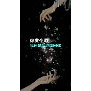 文字类3676