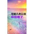 文字类3688