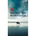 文字类3696